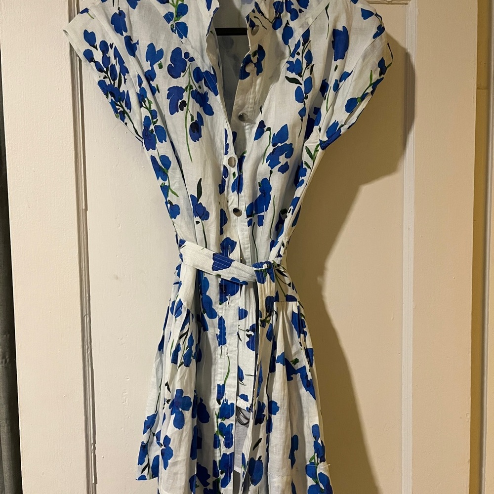 Karina Grimaldi Blue and White Floral Mini Dress